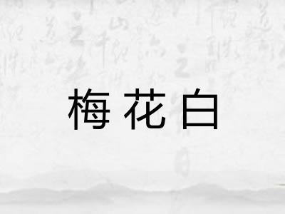 梅花白