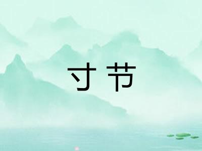 寸节