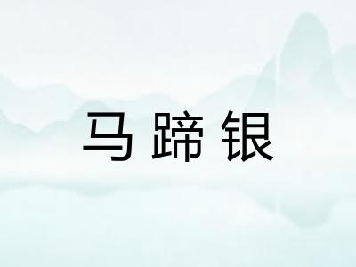 马蹄银