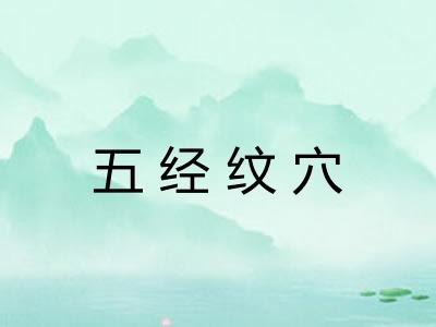 五经纹穴