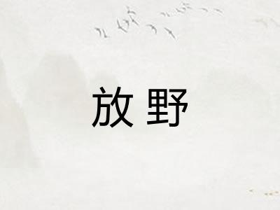 放野