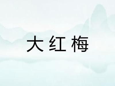 大红梅