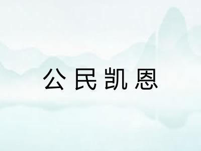 公民凯恩