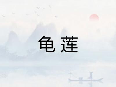龟莲