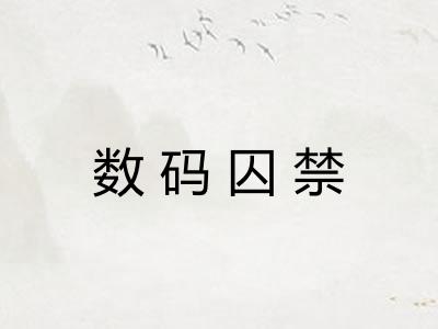 数码囚禁