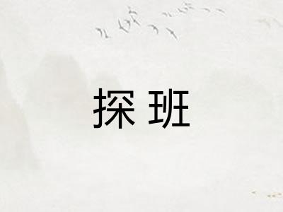 探班