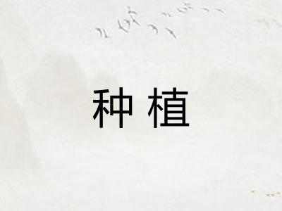种植