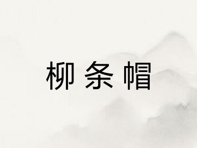 柳条帽