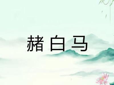 赭白马