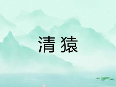 清猿
