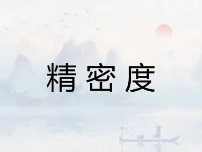 精密度