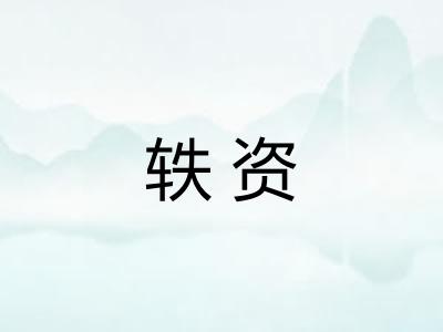轶资