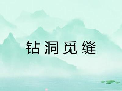 钻洞觅缝