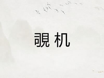 覗机