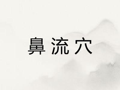 鼻流穴