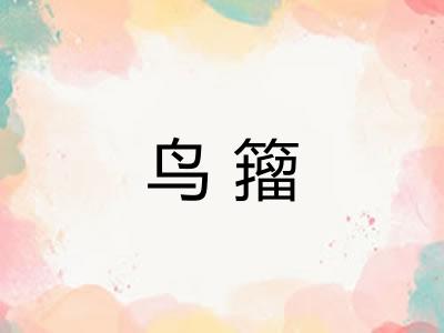 鸟籀