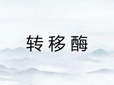 转移酶