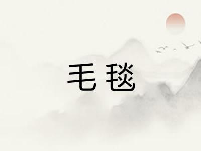 毛毯