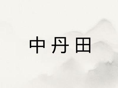 中丹田