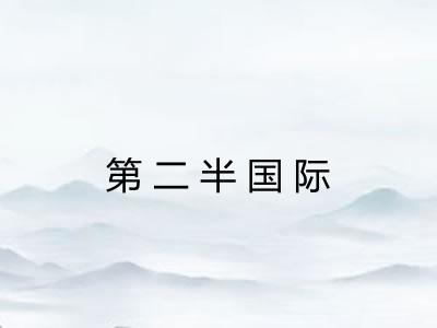 第二半国际