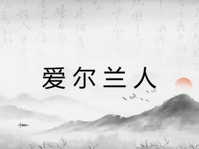 爱尔兰人