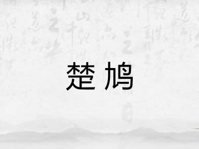 楚鸠