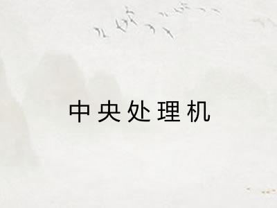 中央处理机