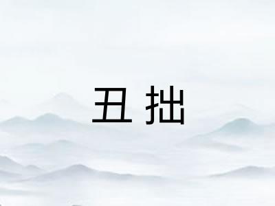 丑拙
