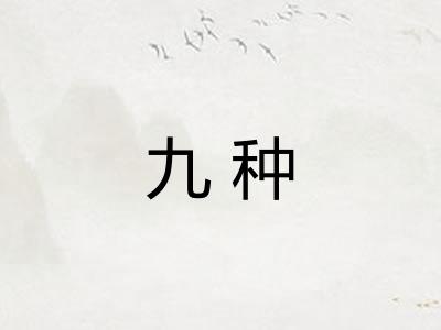 九种