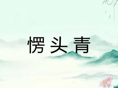 愣头青