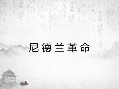 尼德兰革命