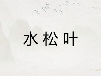 水松叶