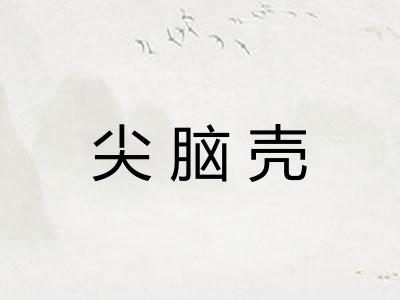 尖脑壳