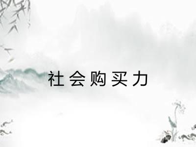 社会购买力