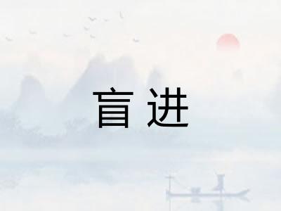 盲进