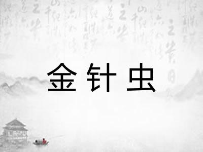 金针虫