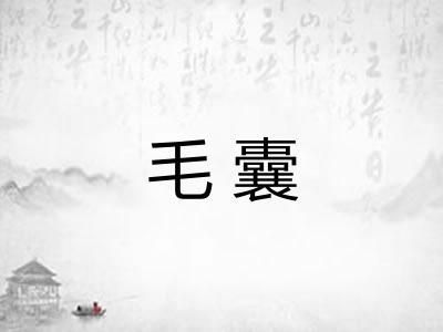毛囊