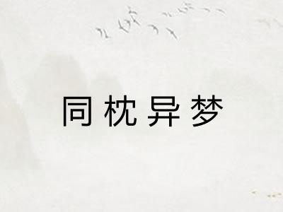 同枕异梦