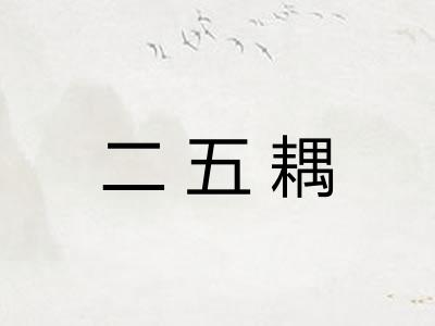 二五耦