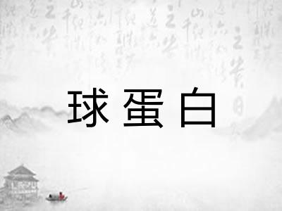 球蛋白