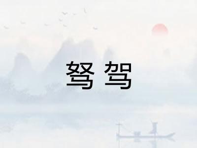 驽驾