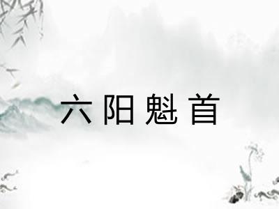 六阳魁首