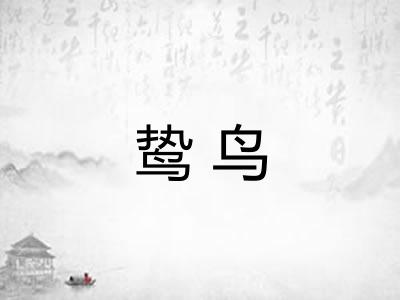 鸷鸟