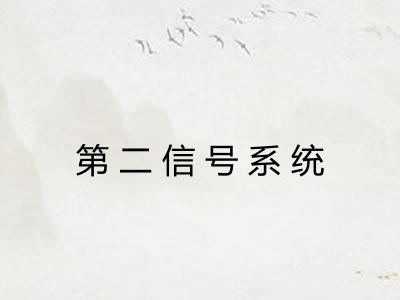 第二信号系统