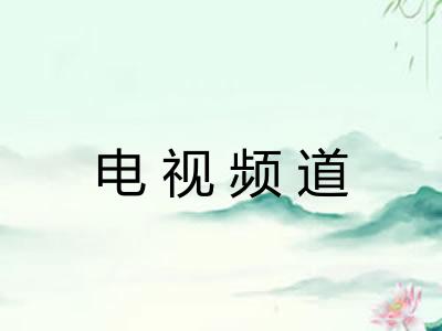 电视频道