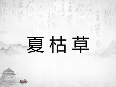 夏枯草