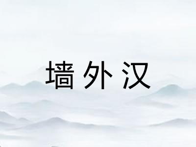 墙外汉