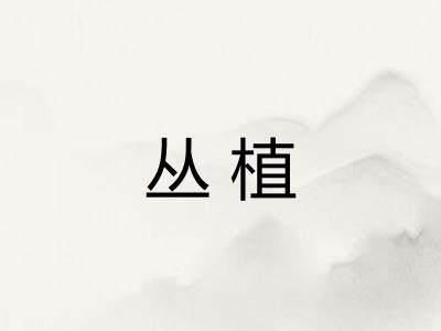 丛植