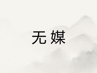 无媒