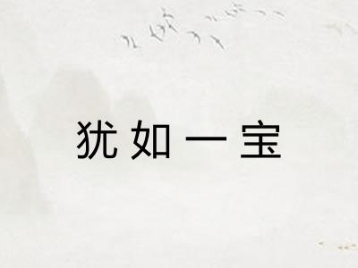 犹如一宝
